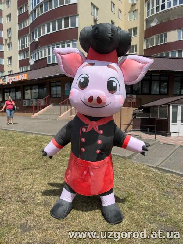 Аніматорський костюм надувний - ходячий щит бренду 240 см 4 години роботи